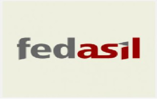 logo fedasil