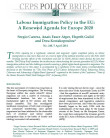 Cover page CEPS - Policy Brief N°240 Labour Immigration Policy in the EU