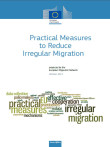 Cover page of this EMN synthesis report